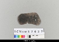 藏品(中國湖北皮影戲盔帽-合掌)的圖片